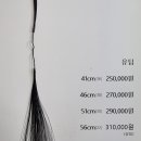 강서구-16 이미지