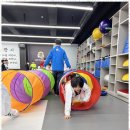 혁신 태권도 이미지