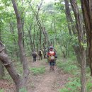 산미인정기산행.바랑산(.논산양촌) 이미지