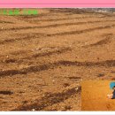 황토밭 태양초 고추가루 판매 (중국산 일 시 110% 보상) 이미지