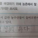우문현답 이미지