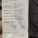 벳메이트 | 당뇨 고양이, 퇴원 일주일 후