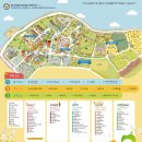 안성팜랜드 여름 체험 총정리｜스플래쉬존·승마·전동자전거 완벽코스