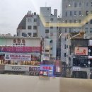 노티드강남카카오 네이버블로그