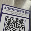 남문3리 마을회관 건너편 | 아이들과 단양일주일살기 : 5일차1 (소선암휴양림구담봉-사인암-청담회관사인암점-하선암-유아숲체험원)