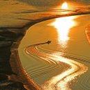 순천만 습지 이미지