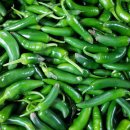 안매운 모닝고추 // 백다다기오이(특품) // 싱싱 브로콜리, 파프리카,당근,양파 이미지