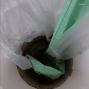 홈투홈토탈케어 이미지