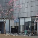 영광세차장 | 혼자서 봄날의 북촌 나들이~ 전시보고 카페와 밥까지