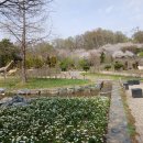 부천자연생태공원 이미지