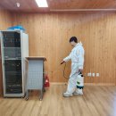 울산방역 레스의 감동적인 청소 서비스 리뷰