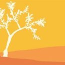 오렌지나무 이미지