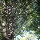 수목원캠핑장 이미지