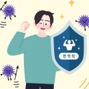 면역력이란? 2025년 건강을 지키는 면역 시스템 가이드