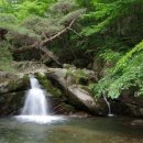신화상사(주) 이미지