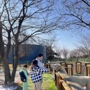 고천암자연생태공원(실내) | 함평 가볼만한곳! 양서파충류생태공원 아이와 함께 실내 데이트 완벽 코스