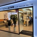 분당-364 이미지