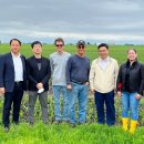 곡물농장 이미지