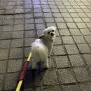 길순닭발 이미지