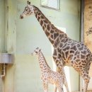 한울마루 이미지