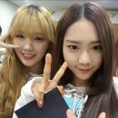 미미언니 이미지