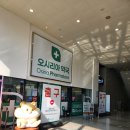 초록나무약국 | 부산 기장 가볼만한곳 | 오시리아약국 근처 공수어촌체험휴양마을 해안길 산책