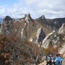 유한회사 동해 이미지