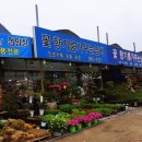 꽃향기를가꾸는남자 이미지