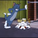 톰과 제리 이미지