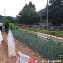 천수임업