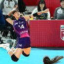 흥국생명 이미지