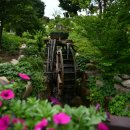 자생식물원 이미지