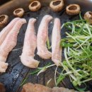 소와돼지방