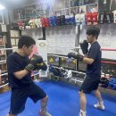 빡 복싱클럽 이미지