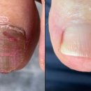 레푸스 부산사직점 이미지