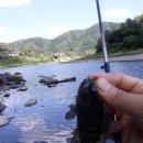 팔봉1교 다리 밑 이미지