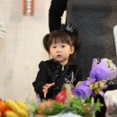 성광목장 Daum카페