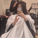 6342 | 강남 삼성동 천연염색 맛집 소민헤어에서 전체염색 + 두피케어 솔직 후기