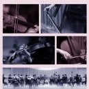 제7회 정기 연주회 이미지