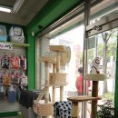 BOB 애견용품 아울렛 네이버블로그