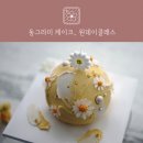 동그라미케이크 이미지