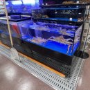 동구릉로200번길 | 구리 농협 하나로마트 오픈세일 방문후기