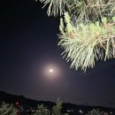 달빛아래맥주한잔 네이버블로그
