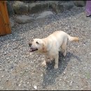 남해-221 이미지