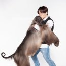 슈퍼독 이미지