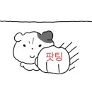 웰킨두피탈모센터 이미지
