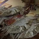 삼은길 | 일상 블로그 ✨ 오늘 하루 기록과 솔직후기 ( 안성 고삼저수지 꽃뫼카페휴게소 )