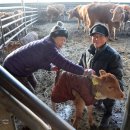 미동농장 이미지