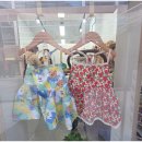 몽몽이애견 | [용인동백] 화이트우프 🐶 핸드메이드 애견옷, 직접 맞춰본 솔직 후기