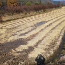 우보공인중개사사무소 이미지